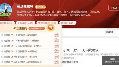 京东电竞战队勇夺冠军，品牌合作共赢未来